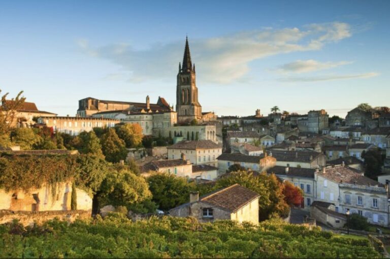 Saint-Émilion: Private Walking Tour & Magnificent Views - A Closer Look: What to Expect from Your Saint-Émilion Tour