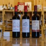 Saint-Emilion : Tasting of 4 wines in a family vineyard - What Reviewers Say