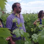 Saint-Émilion: Vineyard Walking Tour and Tasting - Why This Tour Works For Travelers