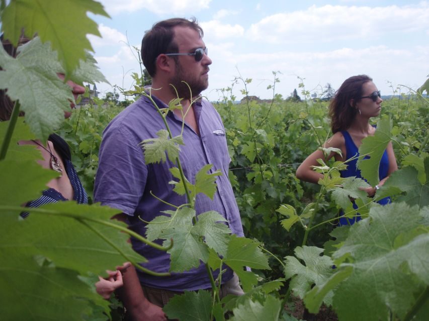 Saint-Émilion: Vineyard Walking Tour and Tasting - Why This Tour Works For Travelers