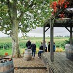 Saint-Émilion: Wine and chocolate pairing in the heart of a vineyard estate - Key Points