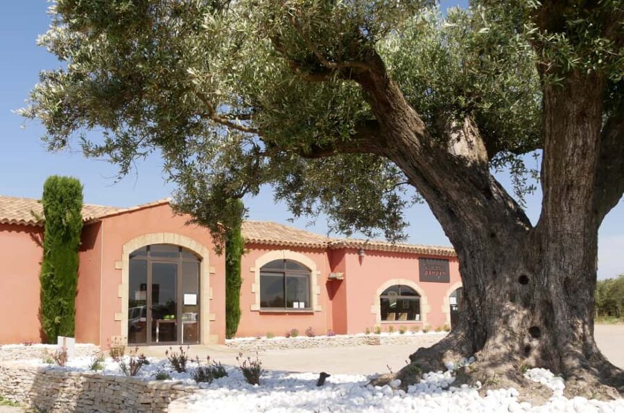 Saint Gilles: Tour of an olive oil mill in an organic olive grove - An In-Depth Look at the Olive Oil Tour Experience