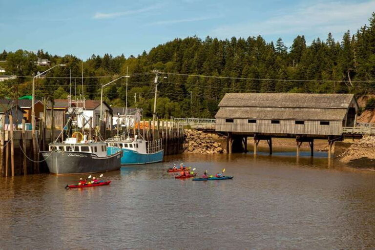Saint John: Guided Kayaking Tour of St. Martins Sea Caves - FAQ