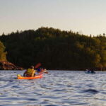 Saint John River: River Relics Kayak Tour - The Paddling Itself: What to Expect