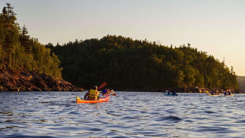 Saint John River: River Relics Kayak Tour - The Paddling Itself: What to Expect