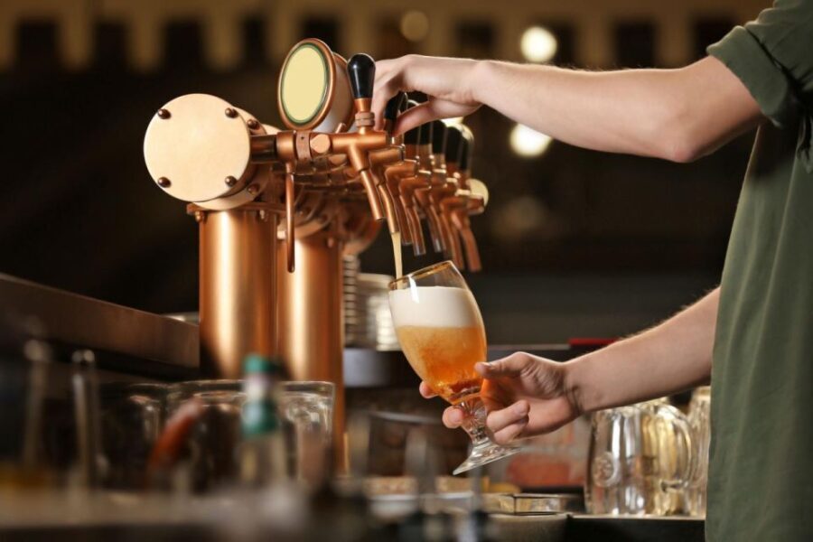 Saint Louis Brews and Views: A Private Half-Day Tour - In-Depth Breakdown of the Experience