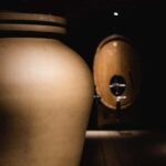 Saint-Nicolas-de-Bourgueil: Food and Wine Pairing Tour - Who Will Love This Tour?