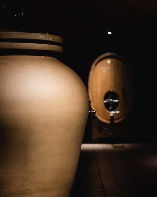 Saint-Nicolas-de-Bourgueil: Food and Wine Pairing Tour - Who Will Love This Tour?