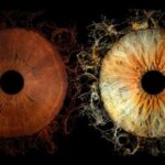 Saint-Paul-de-Vence: Reveal the beauty of your iris with Iris Galerie - Practical Details and Tips