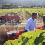Saint-Tropez: Vintage Car Wine Tour - A Closer Look at the Saint-Tropez Vintage Car Wine Tour