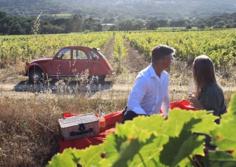 Saint-Tropez: Vintage Car Wine Tour - A Closer Look at the Saint-Tropez Vintage Car Wine Tour
