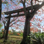 Saipan & Tinian 2-DAY Tour (Day1: SPN; Day2: TIN) - Final Thoughts