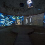 Sala Baganza: Wine Museum Ticket - Exploring the Heritage of Italian Winemaking
