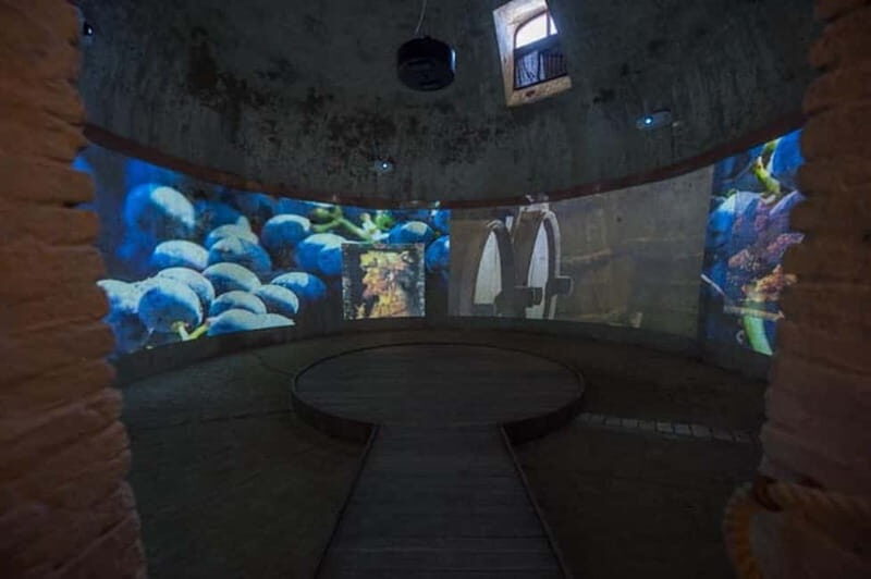 Sala Baganza: Wine Museum Ticket - Exploring the Heritage of Italian Winemaking