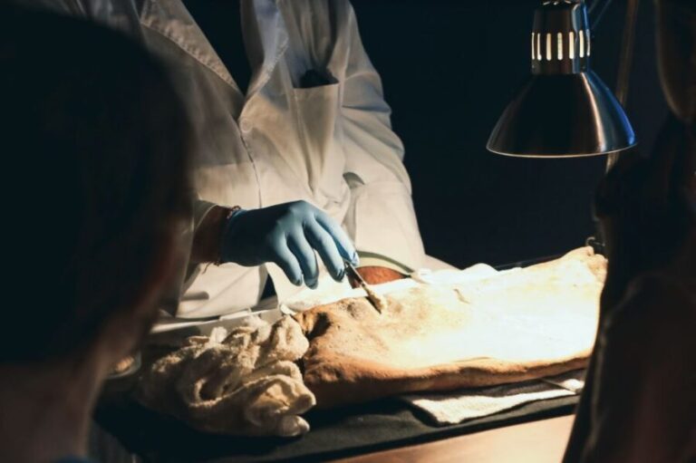 Salem: Pirate Museum with Authentic Treasures Entry Ticket - What Travelers Say: Authenticity and Fun