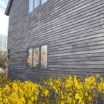 Salem: Specters and Apparitions Ghost Hunting Tour - Exploring Salem’s Haunted Streets: What to Expect