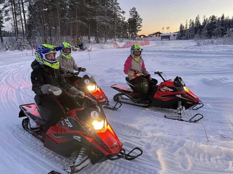 Sälen: Mini Snowmobile Adventure on Private Track - Final thoughts