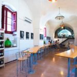 Salento: Winery Tour and Tasting - What Makes This Tour Stand Out?