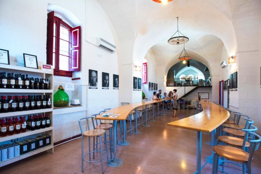 Salento: Winery Tour and Tasting - What Makes This Tour Stand Out?