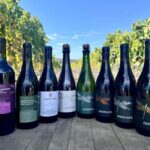 Salinas Valley, CA: Wine tasting experience - In-Depth Look at the Salinas Valley Wine Tasting at Odonata Wines