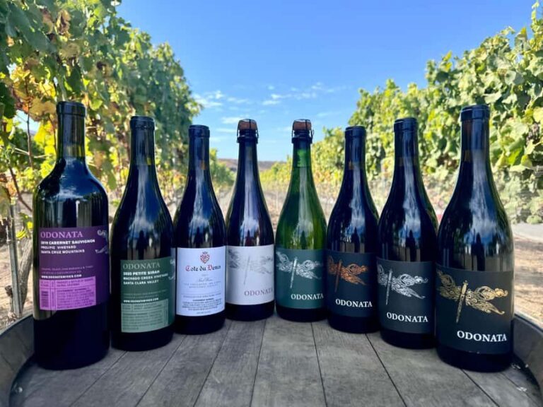 Salinas Valley, CA: Wine tasting experience - In-Depth Look at the Salinas Valley Wine Tasting at Odonata Wines