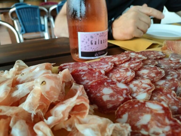 Salò: Tasting of 4 Valtenesi wines with local food - A Closer Look at the Experience