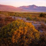 Salt Lake City: Great Salt Lake Antelope Island Guided Tour - An Honest Look at the Experience