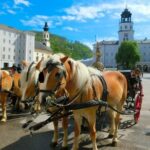 Salzburg and Lake Region Private Day Trip from Vienna - Detailed Breakdown of the Itinerary