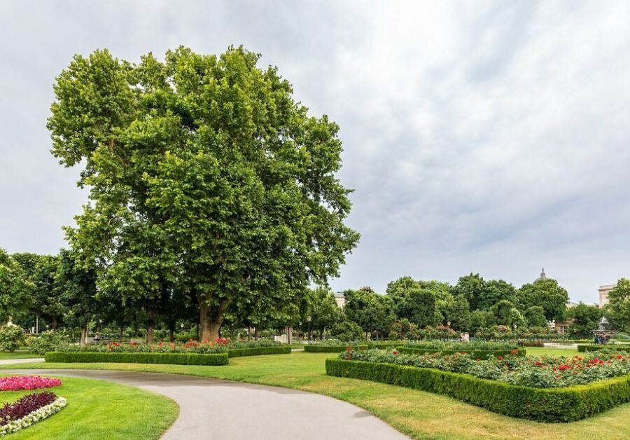 Salzburg: Day Trip to Munich Private Guided Tour - Who Should Consider This Tour?
