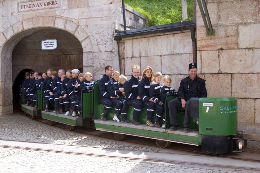 Salzburg: Sound of Music and Salt Mines Tour - Who Will Enjoy This Tour?