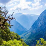 Samaria Gorge : Private Full-Day Guided Experience - Why This Tour Stands Out