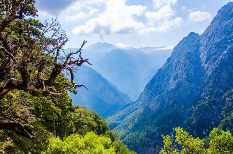 Samaria Gorge : Private Full-Day Guided Experience - Why This Tour Stands Out
