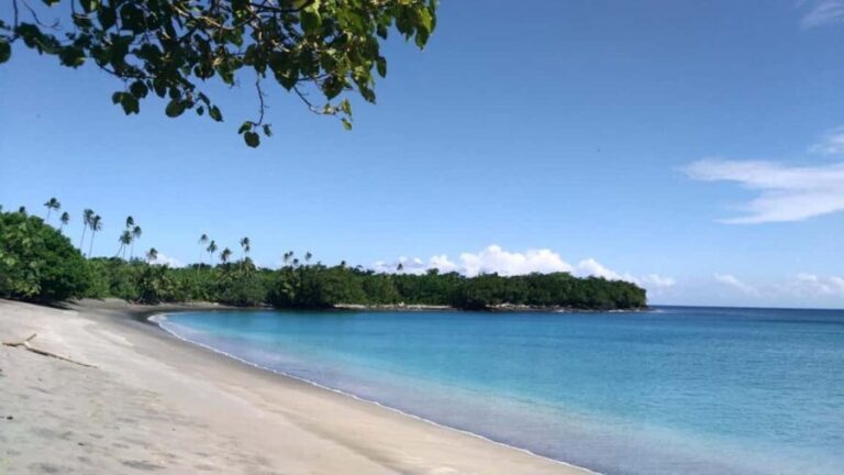 Samoa: National Park Lava Cliffs & Black Sand Beach Day Tour - What Makes This Tour Stand Out?