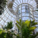 San Antonio: Botanical Garden Admission Ticket - The Experience Itself: What to Expect