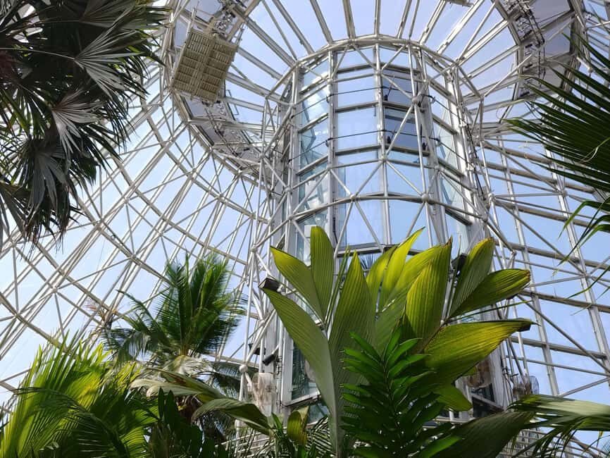 San Antonio: Botanical Garden Admission Ticket - The Experience Itself: What to Expect