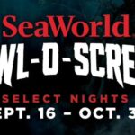 San Antonio: SeaWorld Skip-the-Line Park Admission Ticket - Authentic Experiences and Real Feedback