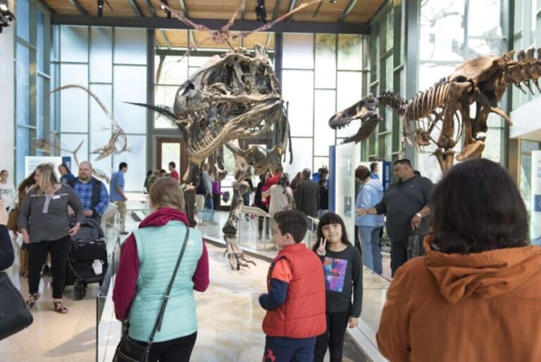 San Antonio: Witte Museum Admission Ticket - A Detailed Look at What the Witte Museum Offers