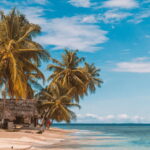 San Blas Day Tour: Explore the Top 3 Islands, From San Blas - Why This Tour Offers Great Value