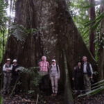 San Cristobal: 2 Days in the Southern Selva Lacandona Tour - What Makes This Tour Stand Out
