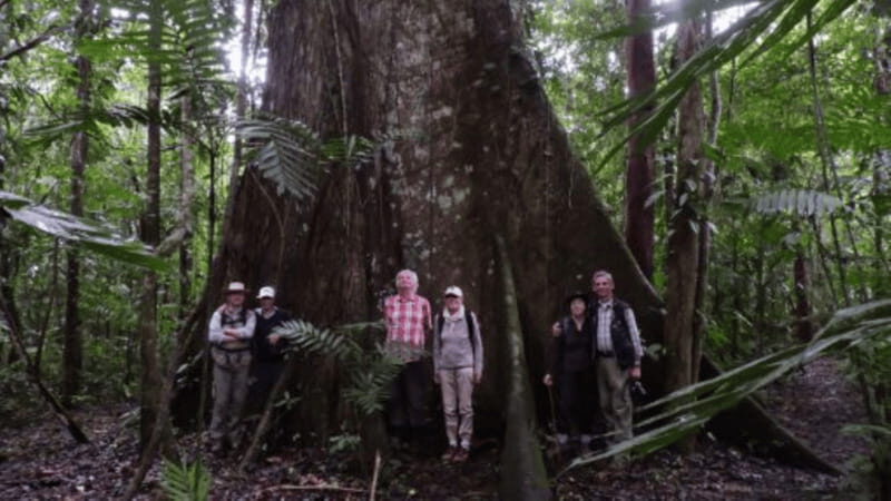 San Cristobal: 2 Days in the Southern Selva Lacandona Tour - What Makes This Tour Stand Out