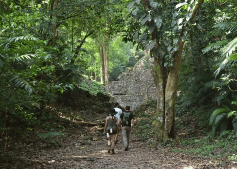 San Cristobal: 3 Days Expedition of North Lacandona Jungle - What’s Included and Why It Matters