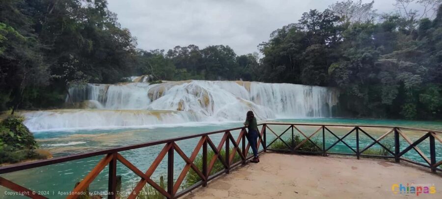 San Cristobal: Agua Azul, Misol Ha & Palenque Experience - Authentic Insights from Travelers