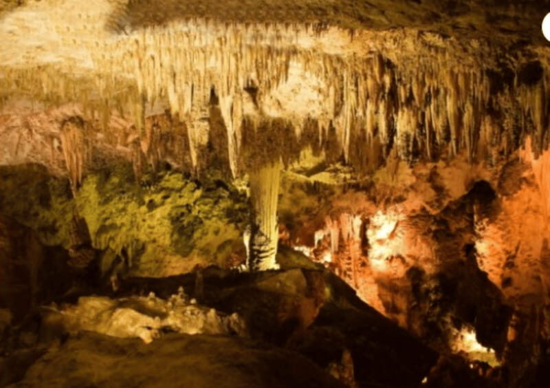 San Cristóbal: Arcotete Ecotourism Park & Rancho Nuevo Caves - Discovering Chiapas’ Natural Wonders in Four Hours