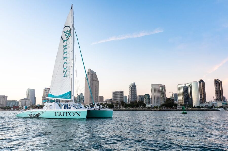 San Diego Harbor Cruise: 2.5 hour Catamaran Cruise - Who Will Love This Experience?