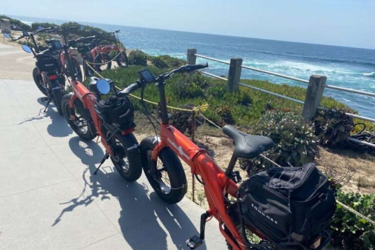 San Diego: La Jolla Guided E-Bike Tour - The Heart of the Experience: What to Expect on the La Jolla E-Bike Tour