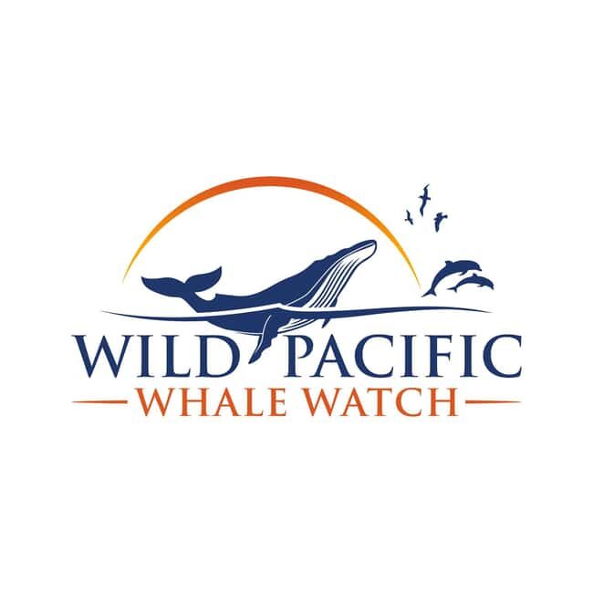 San Diego: Luxury Year-round Whale Watching & Dolphin Tour - Practical Details for Your Trip