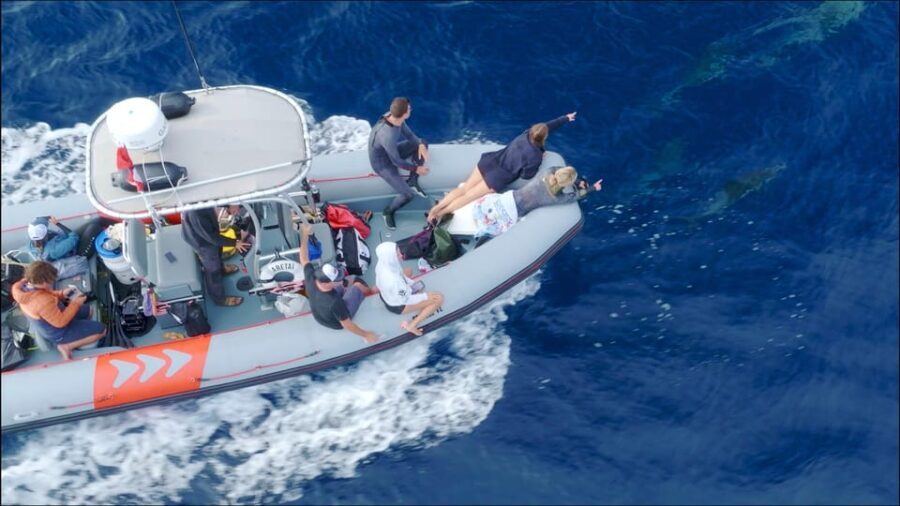 San Diego Ocean Safari: 6-Hour Snorkel Adventure! - Who Will Love This Tour?