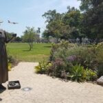 San Diego: Self-guided Bike Tour App - Audio + Written - What the Tour Covers and Its Style of Exploration