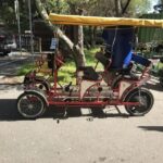 San Fancisco: Golden Gate Park Surrey Rental - Final Thoughts