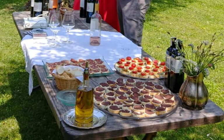 San Felice del Benaco: Vineyard Tour with Wine Tasting - Tasting & Culinary Highlights